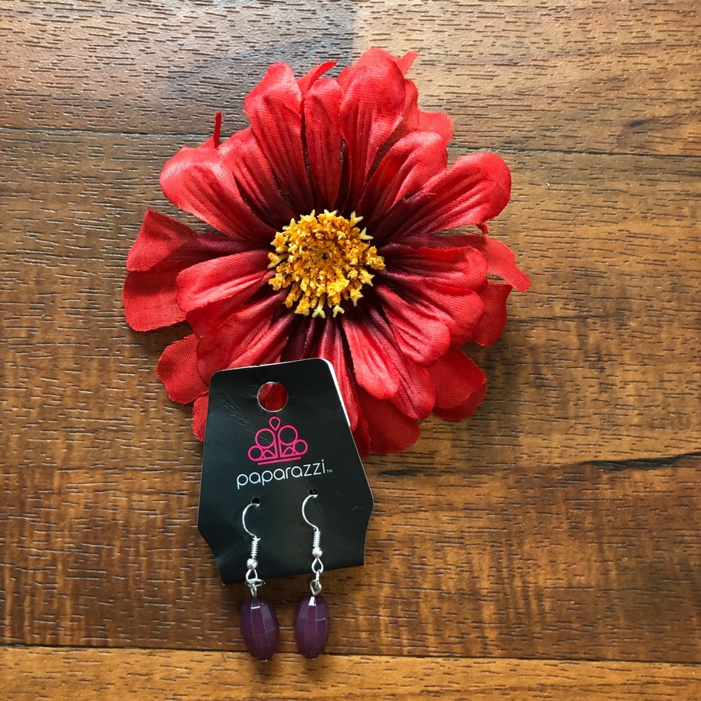 NWT Paparazzi Women’s Earrings